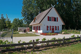 Einfahrt und Süd-Terrasse